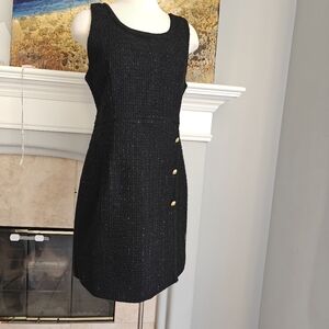 Elegant Black Sleeveless Dress